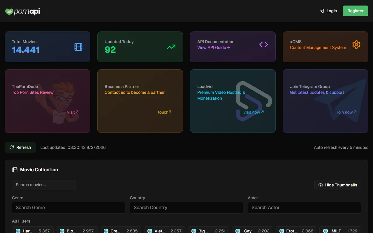 Screenshot of Pornapi Website Review